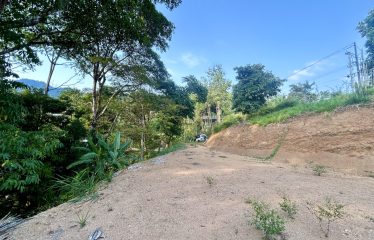 LUXURIOUS PRE-CONSTRUCTION 3-BEDROOM HOME IN DESIRED PLAYA HERMOSA – 0.57 ACRES